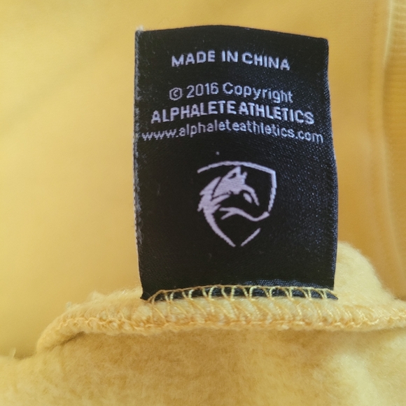 Alphalete Hoodie - Picture 8 of 9